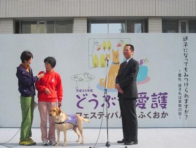 特定非営利活動法人 九州補助犬協会 11 04 どうぶつ愛護フェスティバルin福岡 福岡市