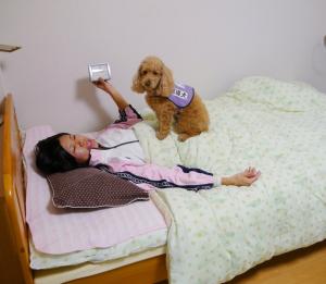 目覚ましの音を知らせてくれる聴導犬 目覚ましの音を知らせてくれる聴導犬