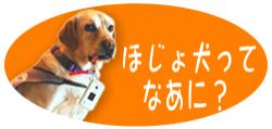 ほじょけんについて知ろう! ほじょ犬ってなあに?