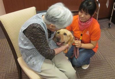 認定npo法人 九州補助犬協会 8 28 セラピー犬活動 フェリオ百道 福岡市 認定npo法人 九州補助犬協会 8 28 セラピー犬活動 フェリオ百道 福岡市