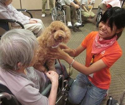 認定npo法人 九州補助犬協会 8 28 セラピー犬活動 フェリオ百道 福岡市 認定npo法人 九州補助犬協会 8 28 セラピー犬活動 フェリオ百道 福岡市