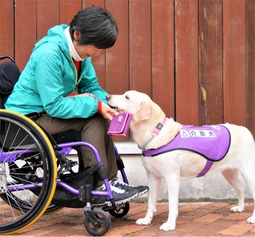 特定非営利活動法人 九州補助犬協会 19 02 18 2019年宮崎県介助犬 聴導犬普及キャンペーン