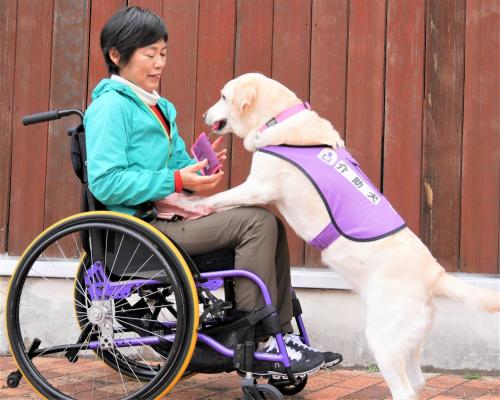 特定非営利活動法人 九州補助犬協会 19 03 02 19年福岡市介助犬普及キャンペーン