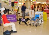 1月30日 山口会場写真3 1月30日 山口会場写真3