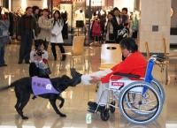 1月30日 山口会場写真1 1月30日 山口会場写真1