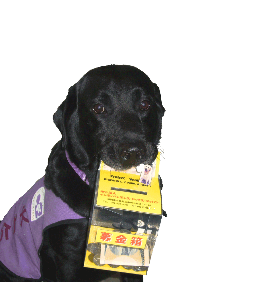 介助犬育成支援のお願い 寄付のお願い