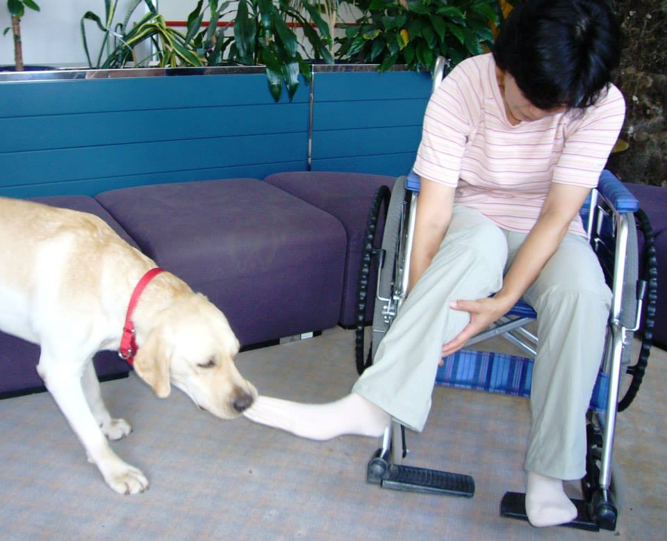 介助犬の仕事5-着替えを手伝う 着替えを手伝う